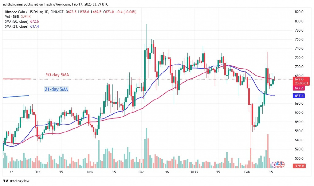 BNBUSD ( Daily Chart) - FEB.17.jpg