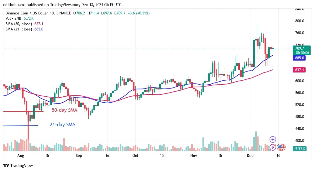 BNBUSD_(Daily Chart) - DEC.13.jpg