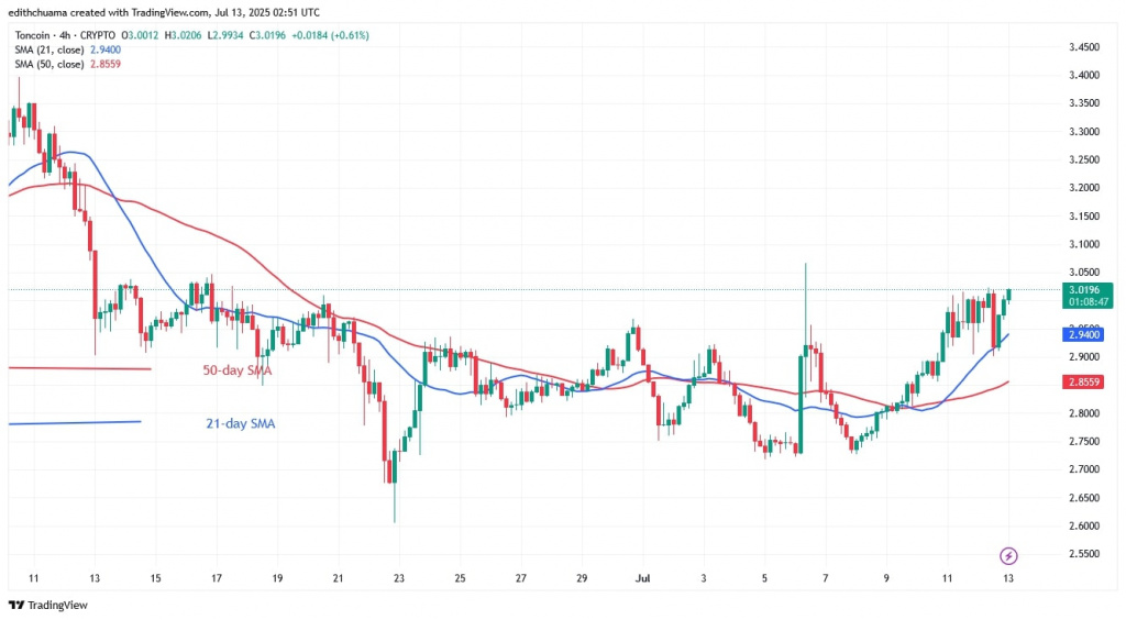 TONUSD_(4-Hour Chart) - July 13.jpg
