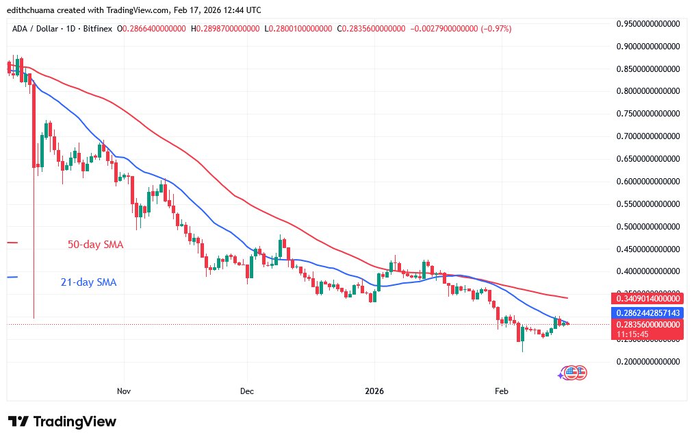ADAUSD_(Daily Chart) - FEB.17, 2026 ADAUSD_(Daily Chart) - FEB.17, 2026