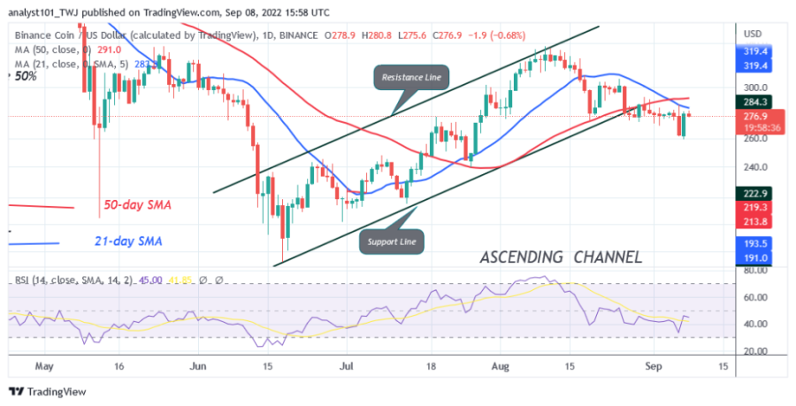 BNBUSD(Daily Chart) - September 8.png