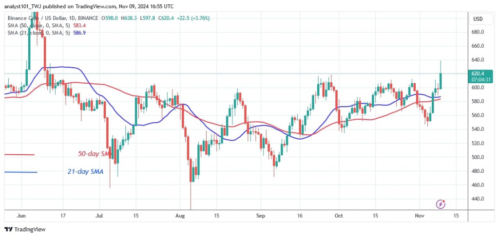 BNBUSD (Daily Chart) Nov.09.jpg