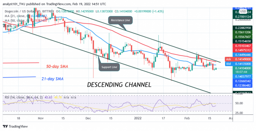 DOGEUSD(Daily_Chart)_-FEB._19.png