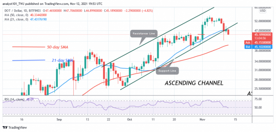 DOTUSD(Daily_Chart)_-_NOV.12.png