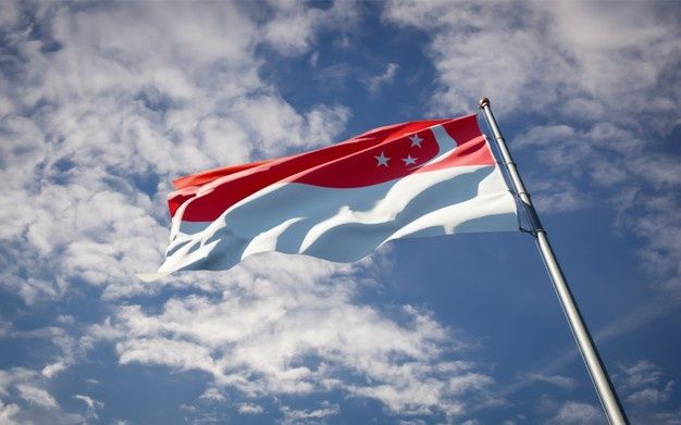 beautiful-national-state-flag-of-singapore-fluttering-on-blue-sky_337817-4194.jpg