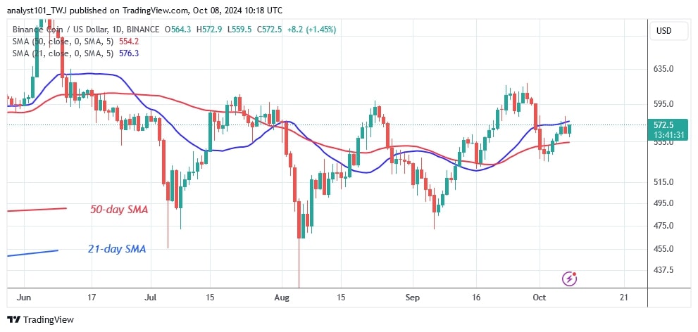 BNBUSD (Daily Chart) –OCT.8.jpg