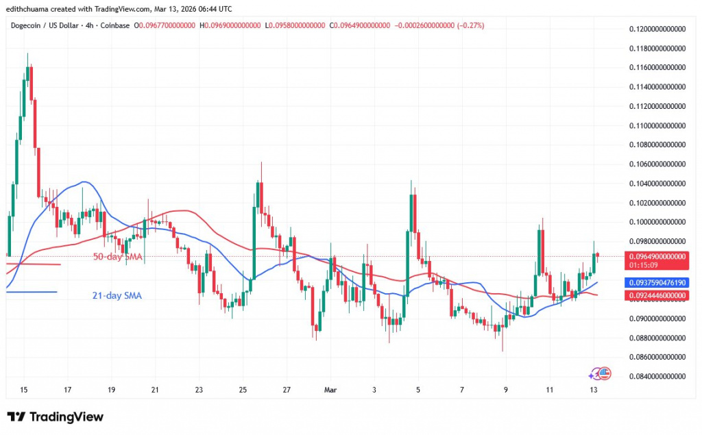 DOGEUSD_(4-hour Chart) - March 13.jpg