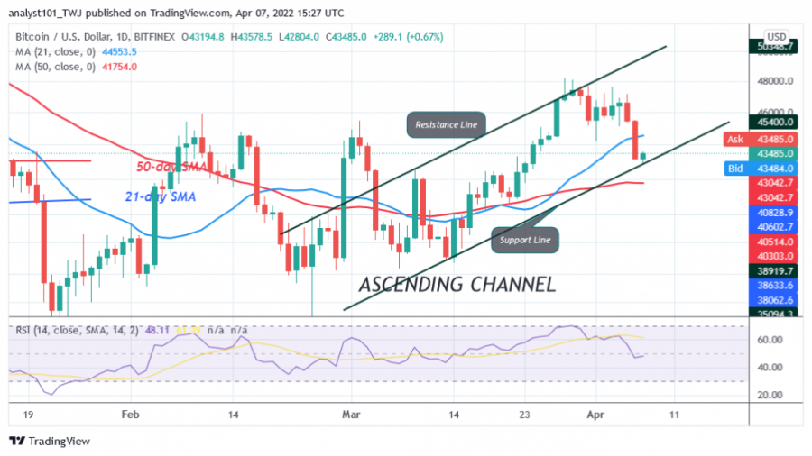 BTCUSD(Daily+Chart)+-+April+7.png