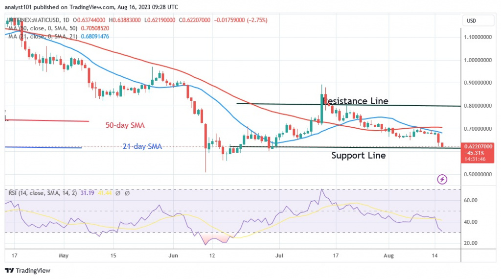 MATICUSD( Daily Chart) – AUG. 16.23.jpg