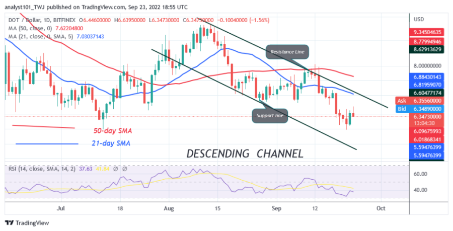 DOTUSD(Daily Chart) - September 23.png