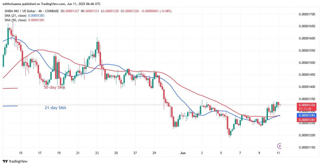 SHIBUSD_( 4-hour Chart) -June 11.jpg