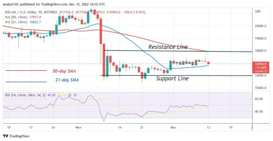 BTCUSD（日線圖）- 12 月 XNUMX.jpg