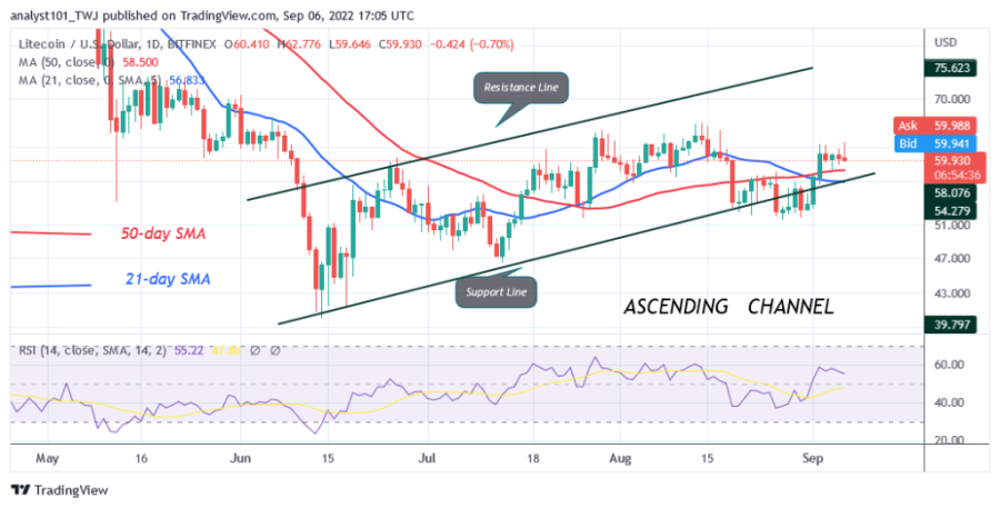 LTCUSD(Daily_Chart).png