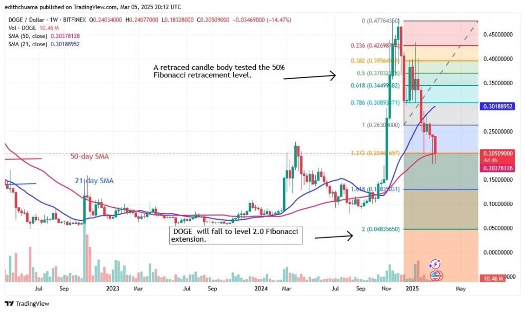 DOGEUSD ( Daily Chart) -March 5.jpg