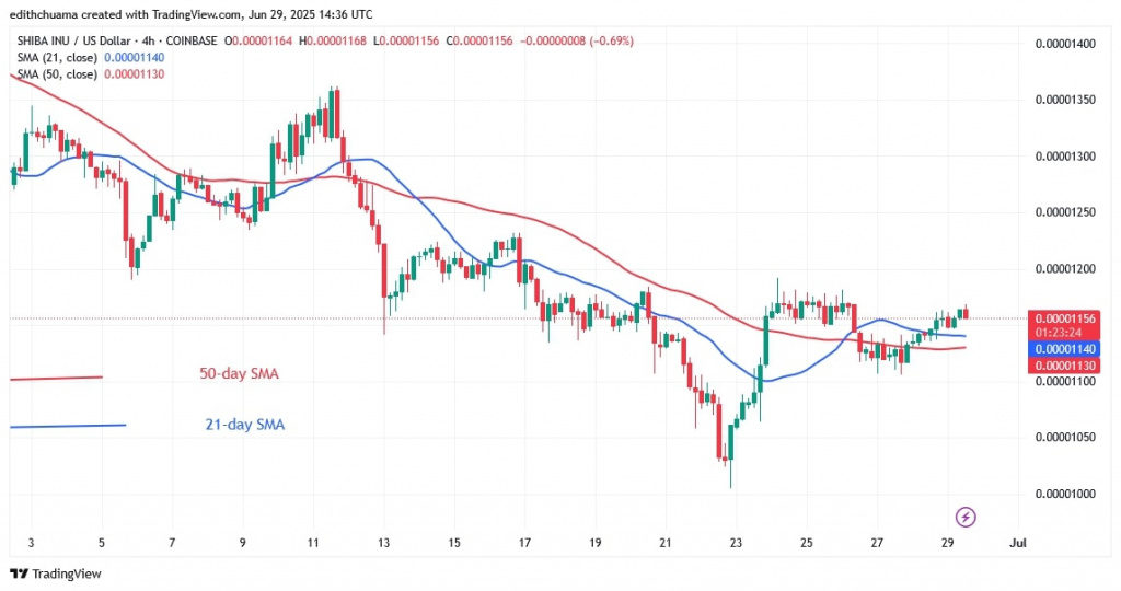 SHIBUSD_(4-Hour Chart) -June 29.jpg