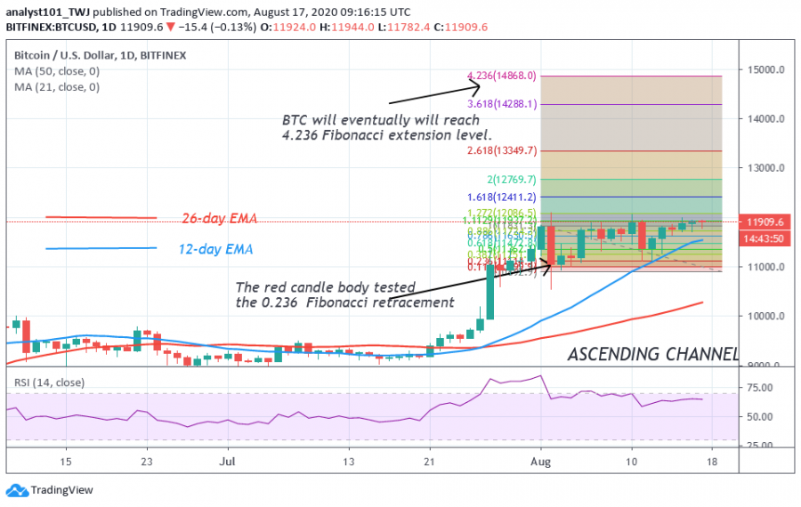 BTC-CoinIdol.(+2+Chart)png.png