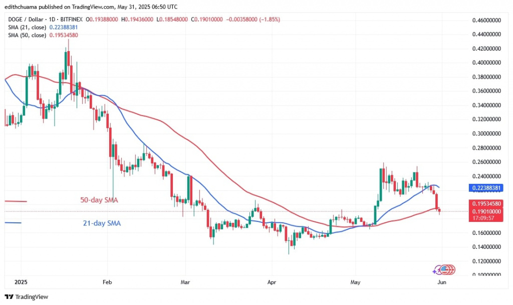 DOGEUSD_( Daily Chart) - May 31, 2025 DOGEUSD_( Daily Chart) - May 31.jpg