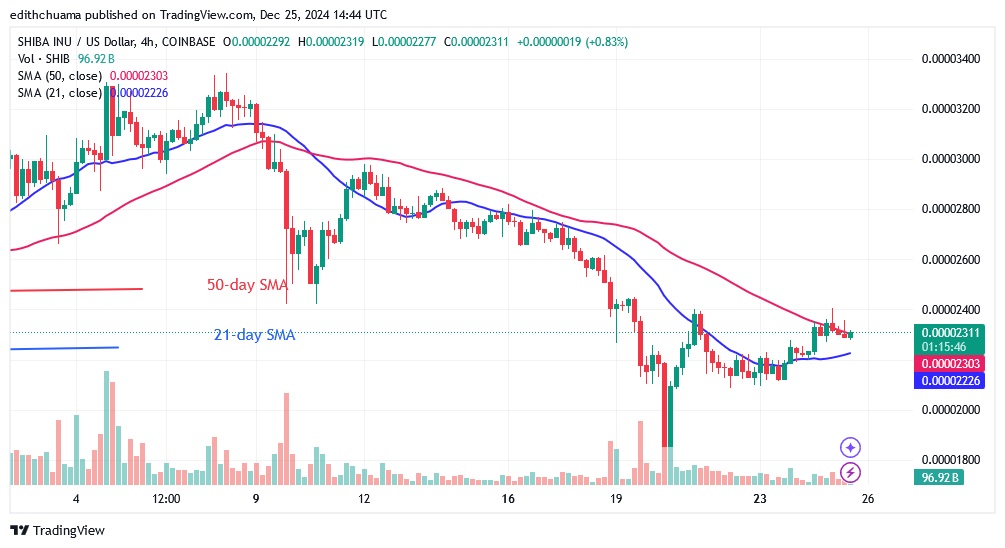 SHIBUSD_(4-Hour Chart) - DEC.25.24.jpg