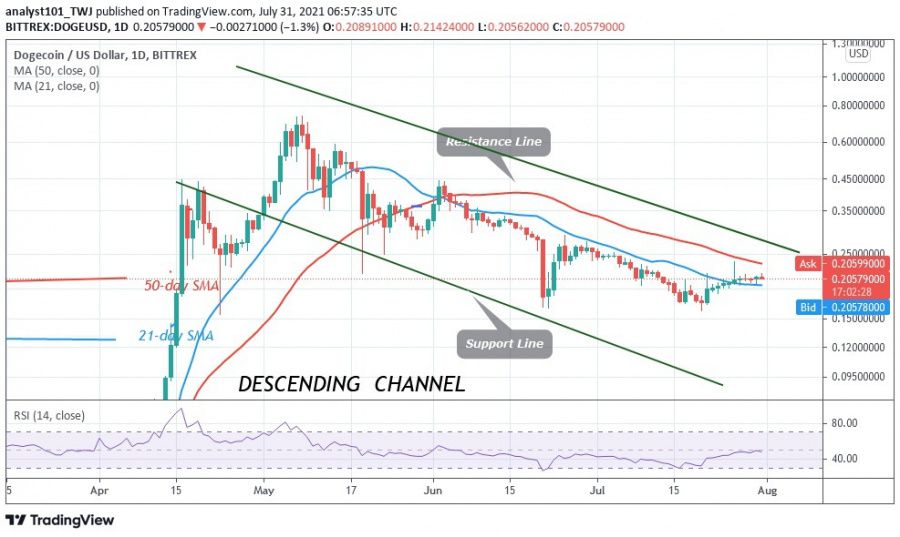 DOGE_chart_01.08.2021_-_COINIDOL_.jpg