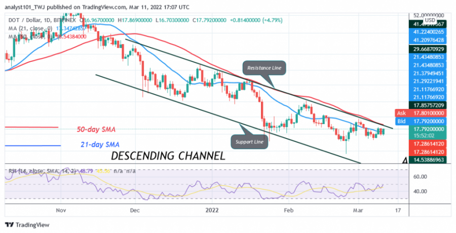 DOTUSD(Daily+Chart)+-+March+11.png