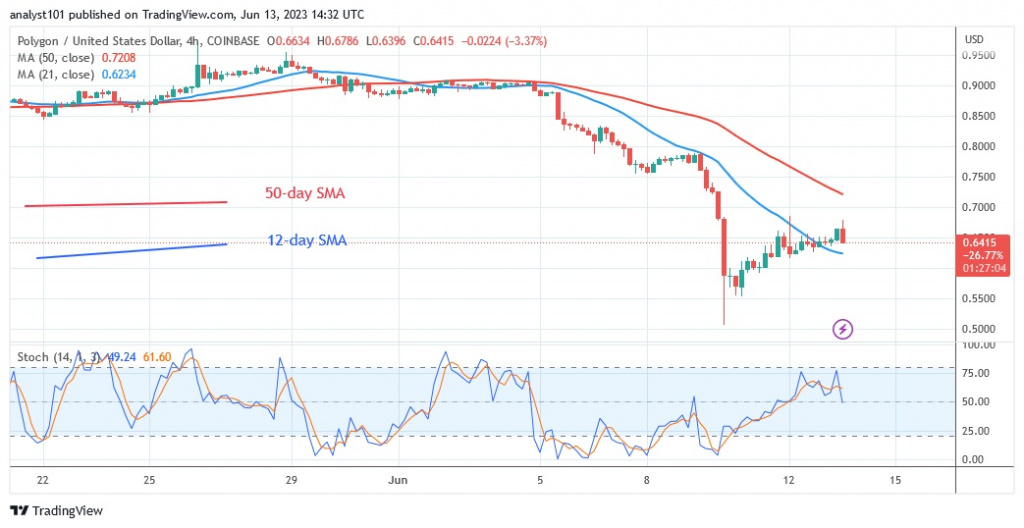 MATICUSD(4 –Hour Chart) – June 13.23.jpg