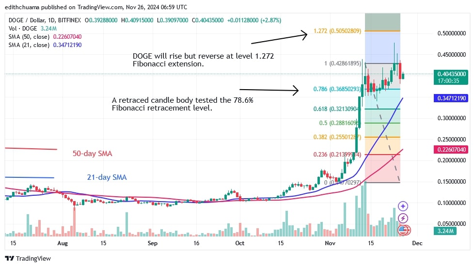 DOGEUSD_(Daily Chart) - NOV.26.jpg