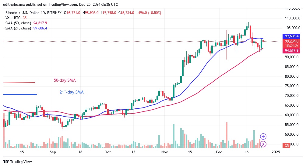 BTCUSD_(Daily Chart) - DEC.25.24.jpg