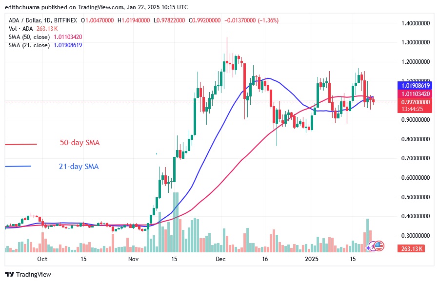 ADAUSD_(Daily Chart) - JAN.22.25.jpg