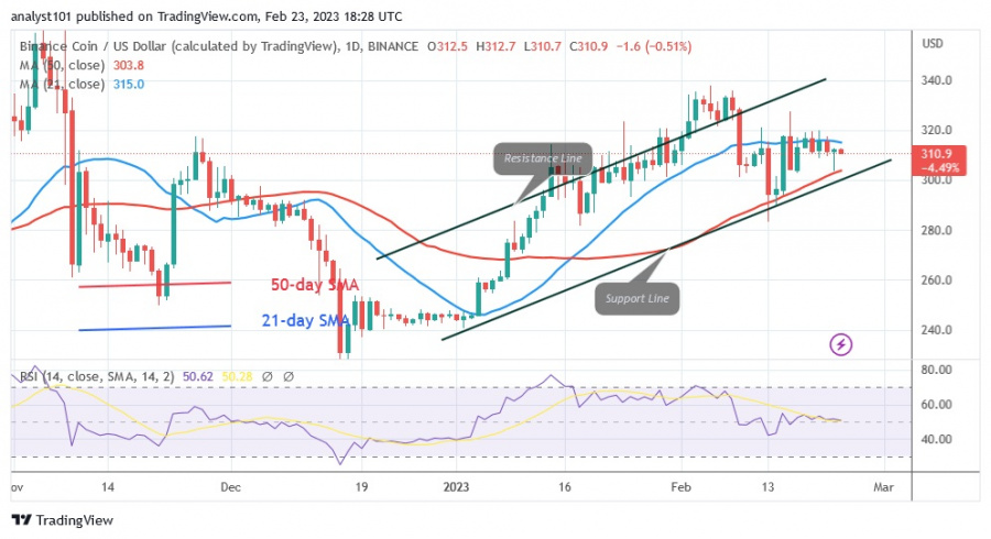 BNBUSD(Daily Chart) – február 23.23.jpg