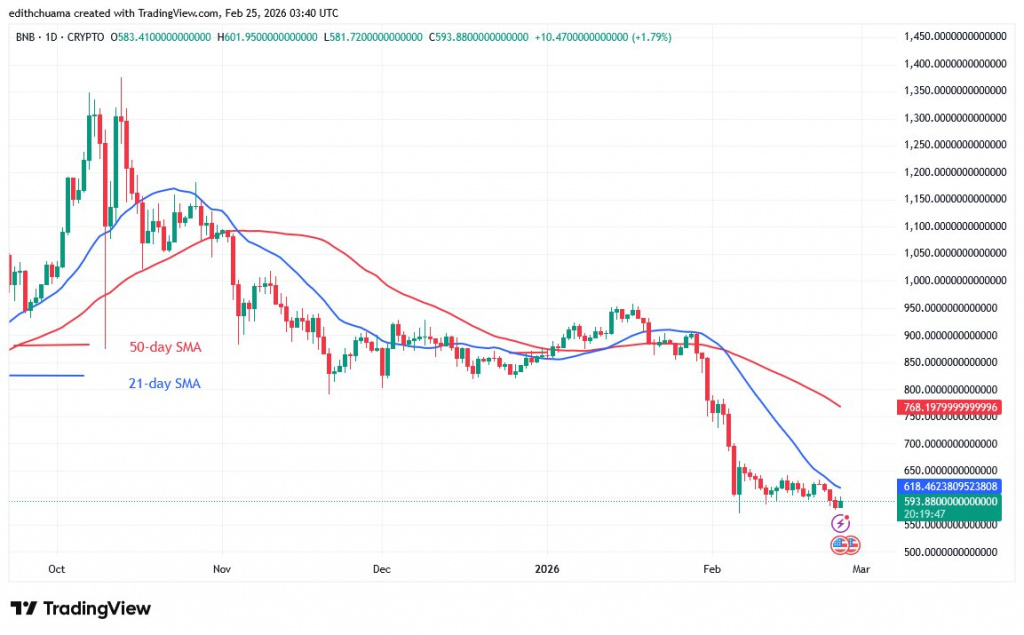 BNBUSD_(Daily Chart) - FEB.25, 2026 BNBUSD_(Daily Chart) FEB.25, 2026