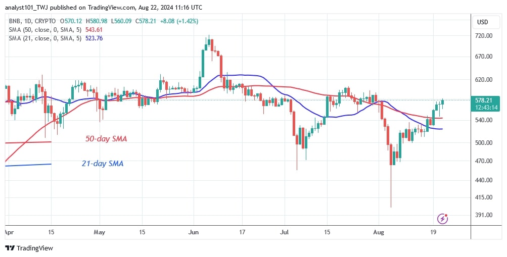 BNBUSD (Daily Chart) –AUG. 22.jpg