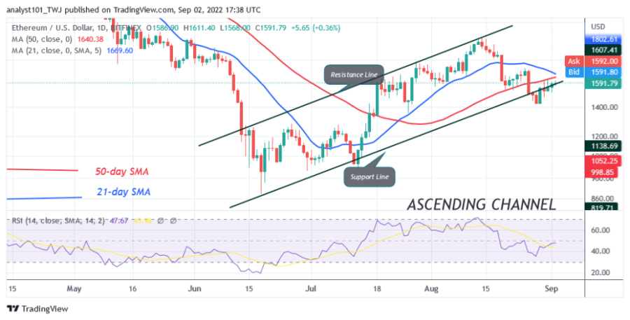 ETHUSD(일일_차트)_-__September_2.png