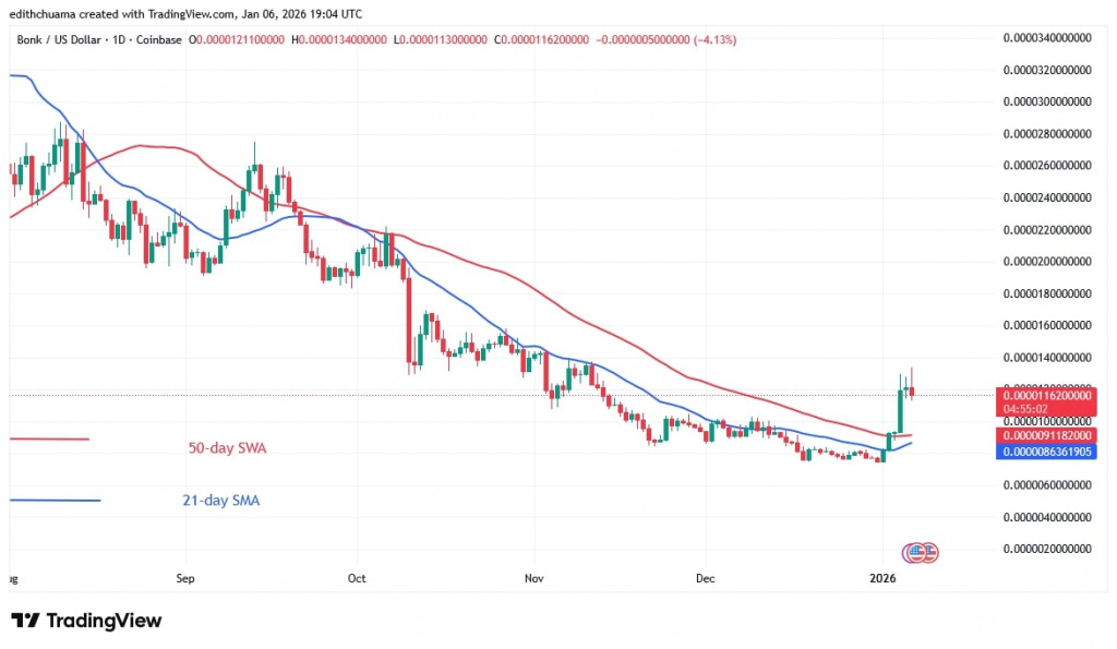 BONKUSD_(Daily Chart) – JAN.06, 2026