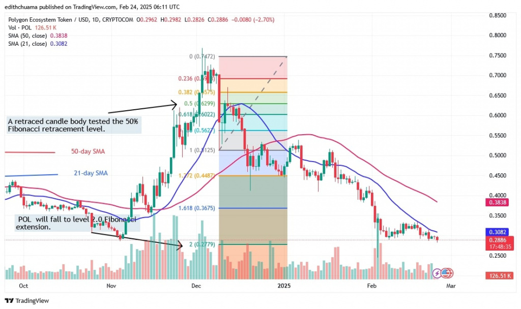 POLUSD_(Daily Chart) - FEB.24.jpg