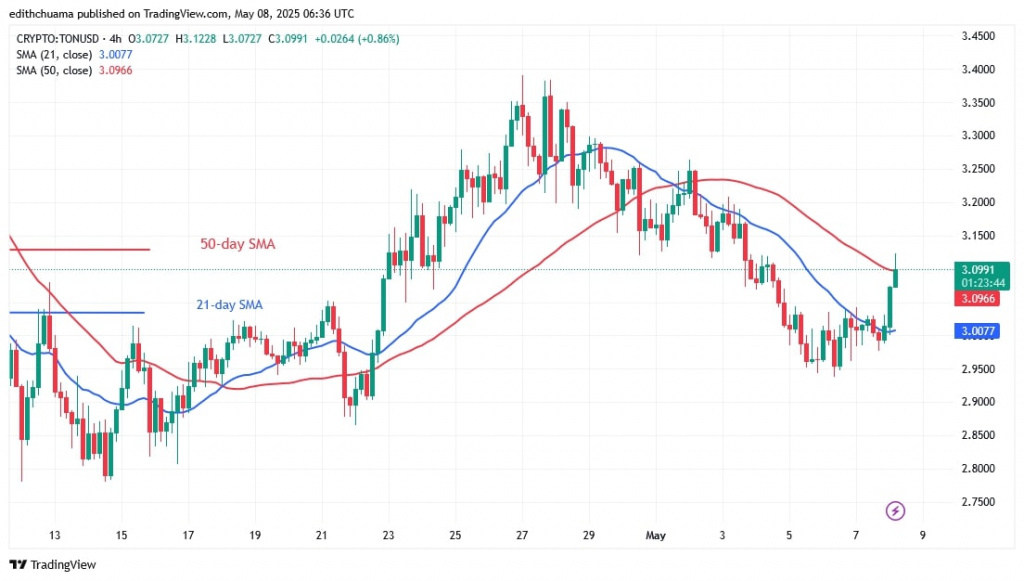 TONUSD_(4-Hour Chart) - May 8.jpg