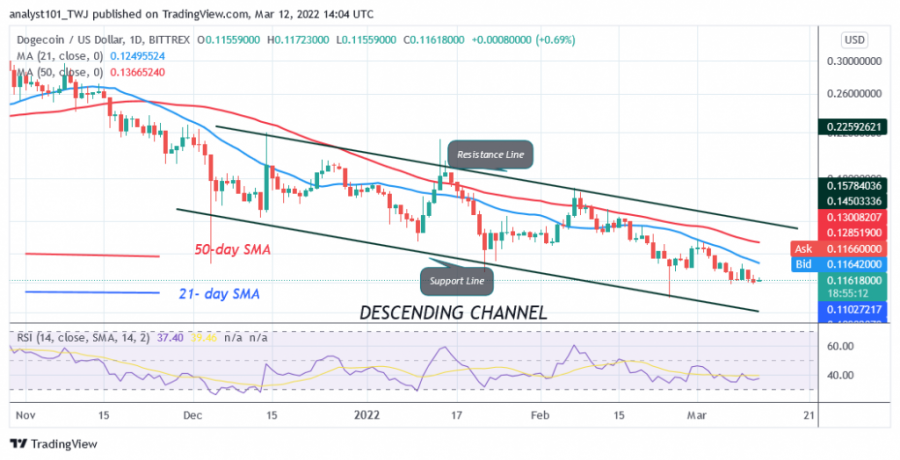 DOGEUSD_(Daily_Chart)_-March_12.png