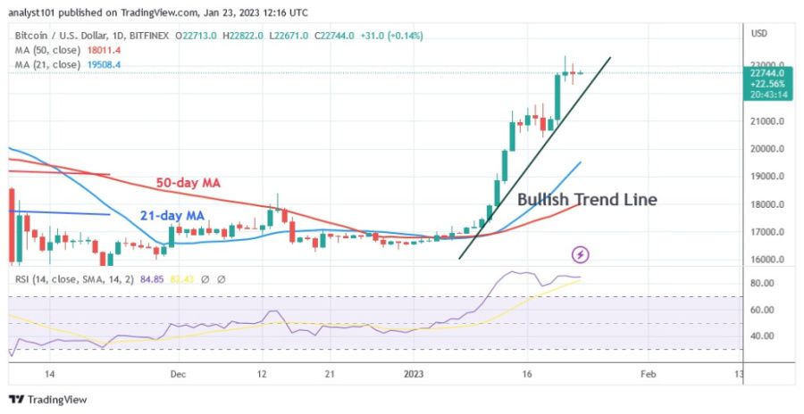 BTCUSD (graphique journalier) - 23.23 janvier.jpg