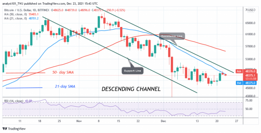 BTCUSD(Daily_Chart)_-_DECEMBER_23.png