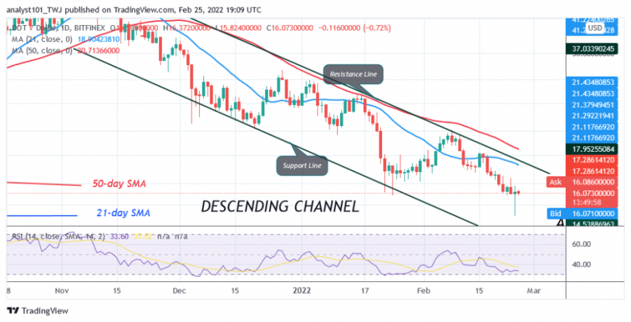 DOTUSD(Daily_Chart)_-_FEB._25.png