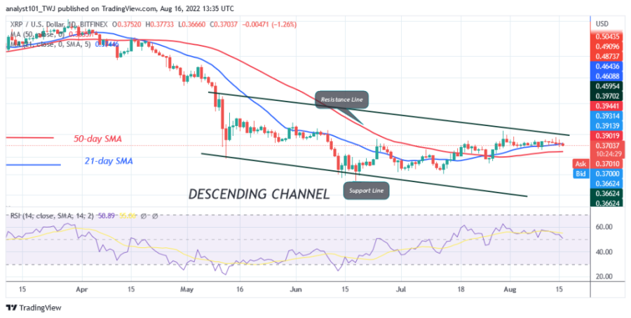 XRPUSD(Daily+Chart)+-+August+16.png