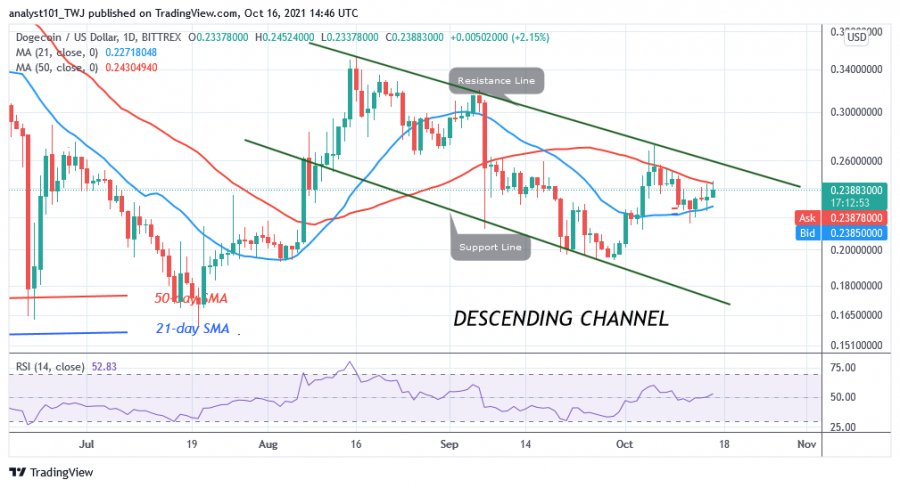 DOGEUSD(Daily_Chart)_-_OCT.16.png