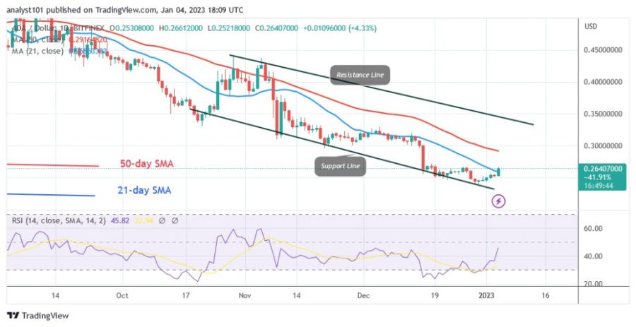 ADAUSD(Daily Chart) - December 4.23.jpg