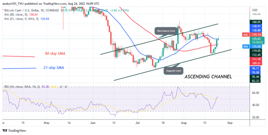 BCHUSD(Daily+Chart)+-+אוגוסט+24.png