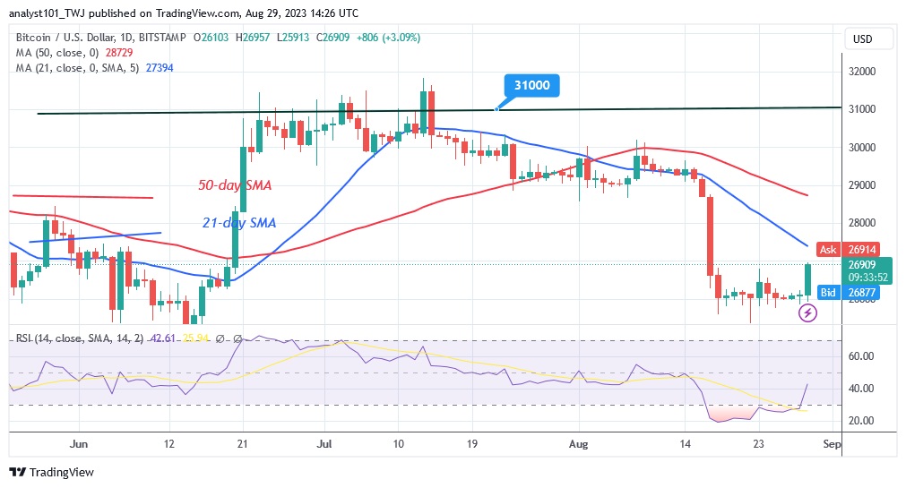 BTCUSD_(Daily Chart) – AUG. 29.23.jpg