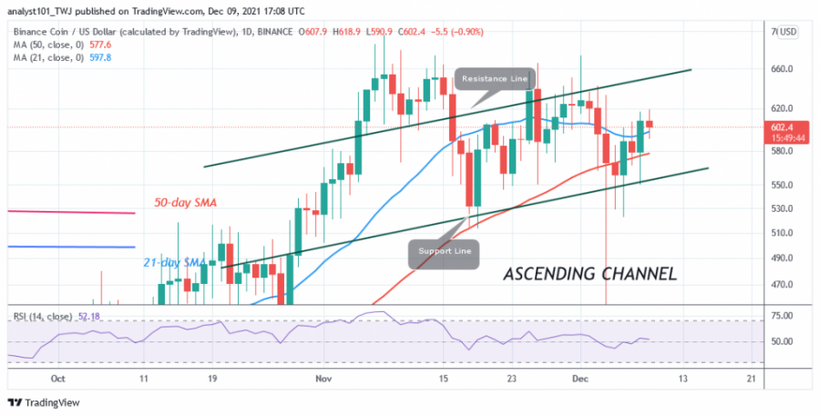 BNBUSD(Daily+Chart)+-+DEC.+9.png