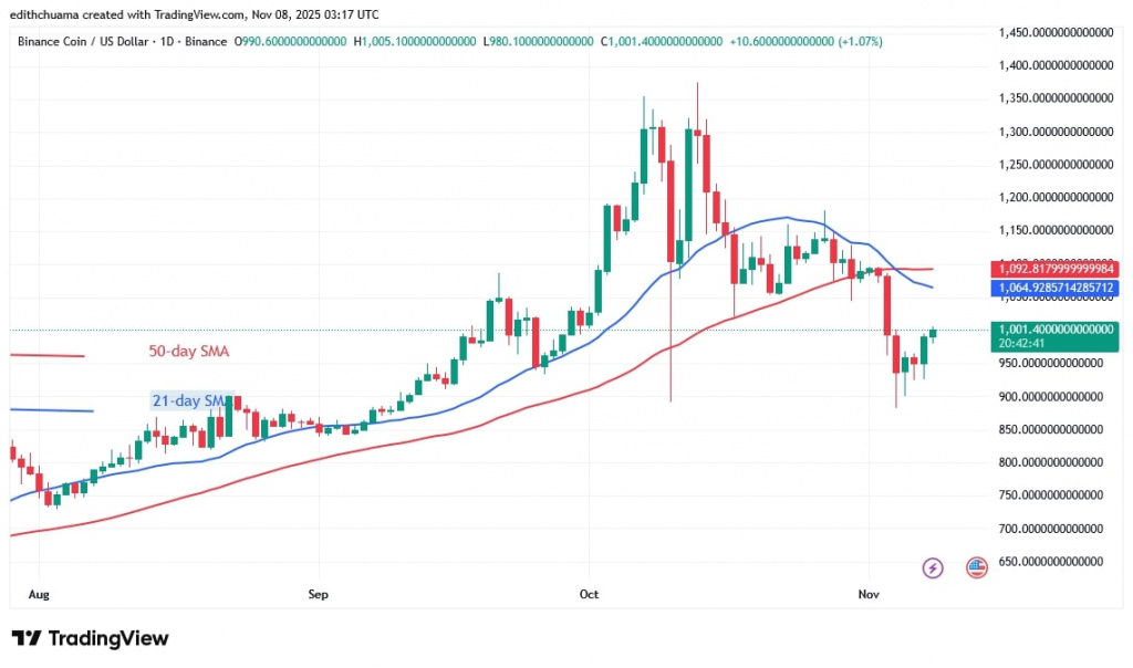 BNBUSD_(Daily Chart) - NOV.8, 2025 BNBUSD_(Daily Chart) - NOV.8, 2025