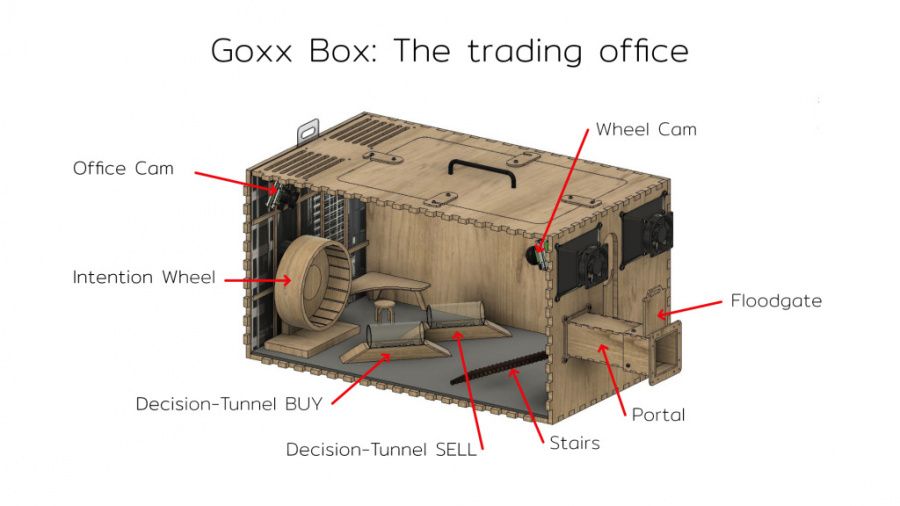 goxx_box.jpg