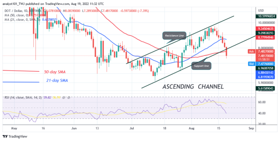 DOTUSD(Daily Chart ) - August 19.png