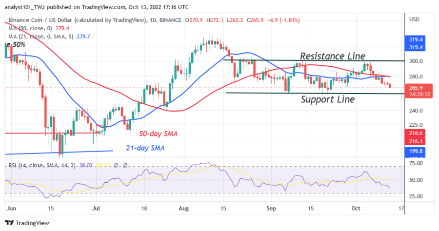 BNBUSD(Daily Chart) - Oktubre 13.png