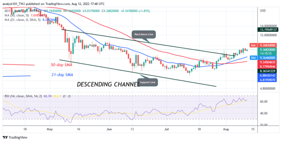 DOTUSD(Daily+Chart)+-+August+12.png